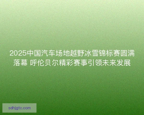 2025中国汽车场地越野冰雪锦标赛圆满落幕 呼伦贝尔精彩赛事引领未来发展 2025中国汽车场地越野冰雪锦标赛圆满落幕 呼伦贝尔精彩赛事引领未来发展